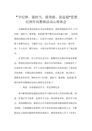 “守纪律、讲规矩、转作风、提效能”思想纪律作风整顿活动心得体会