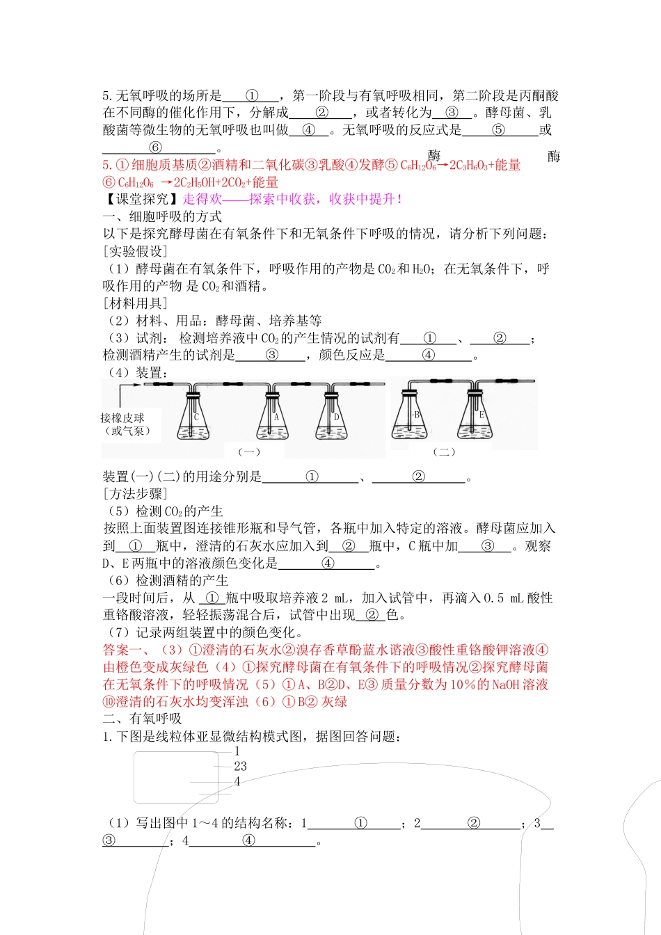 《ATP的主要来源——细胞呼吸》导学案_第2页