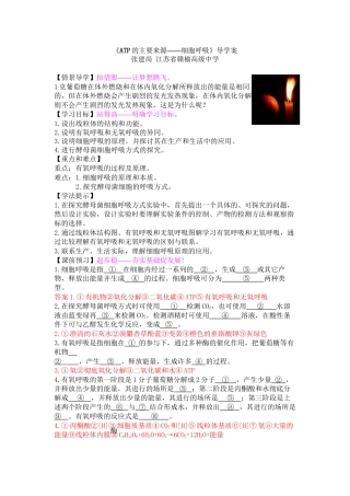 《ATP的主要来源——细胞呼吸》导学案
