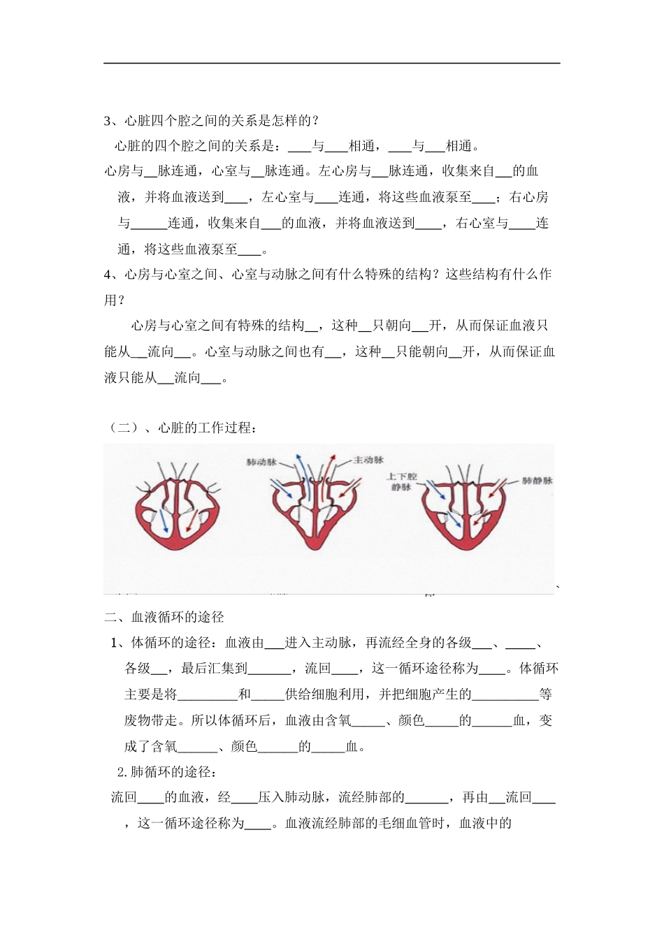 4.3-输送血液的泵——心脏-导学案_第2页