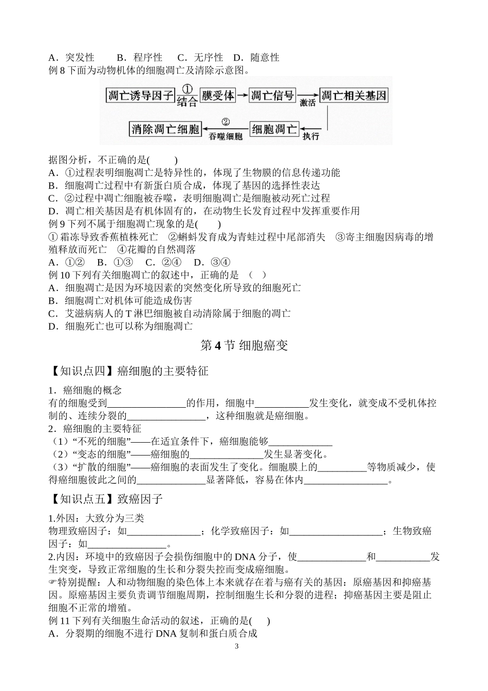 6.3.4细胞的衰老和凋亡以及细胞癌变导学案_第3页