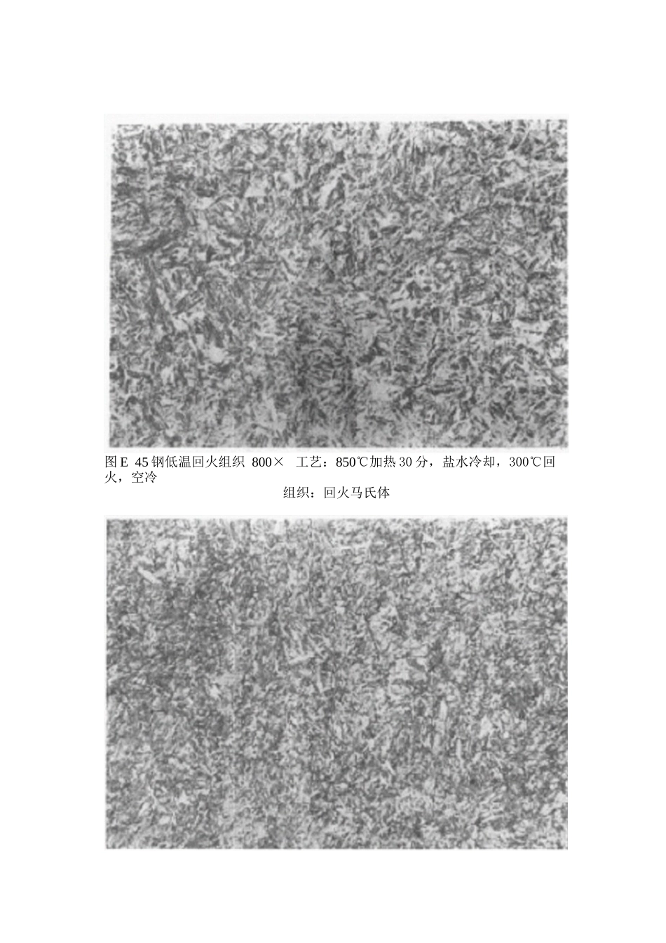 45钢金相组织参考_第3页