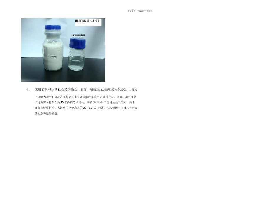 伙伴城市推荐成果动力电池新型导电锂盐_第2页