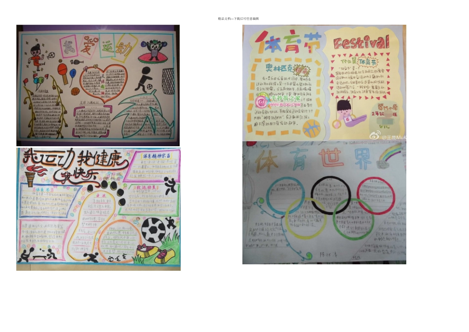 体育节手抄报_第1页