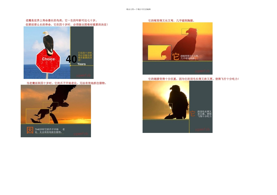 例子老鹰的蜕变和重生_第1页