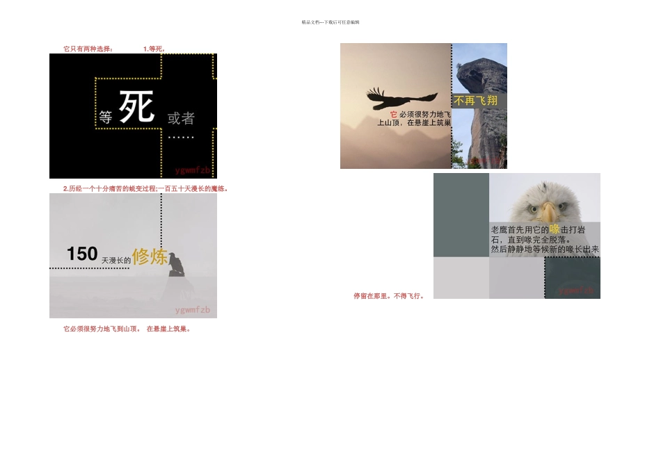 例子老鹰的蜕变和重生_第2页