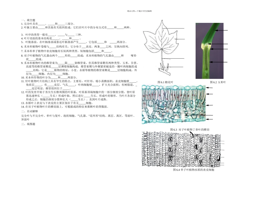 保护地娃娃菜栽培技术_第1页