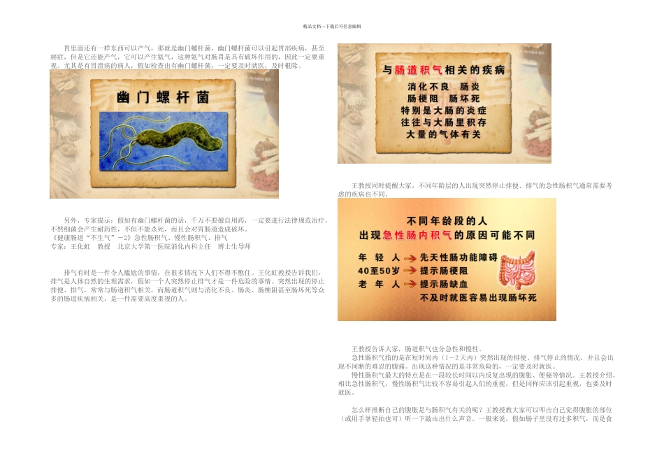 健康肠胃不生气-嗳气打嗝呃逆幽门螺杆菌_第2页