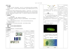 光合作用的过程精
