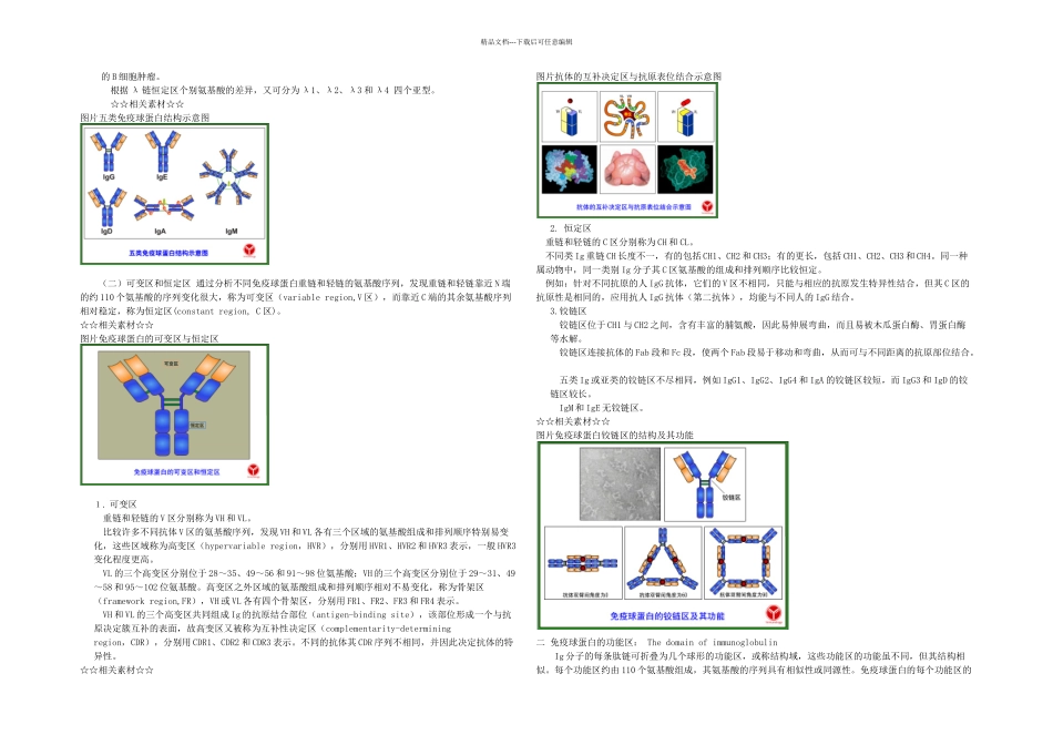 免疫球蛋白的结构_第2页