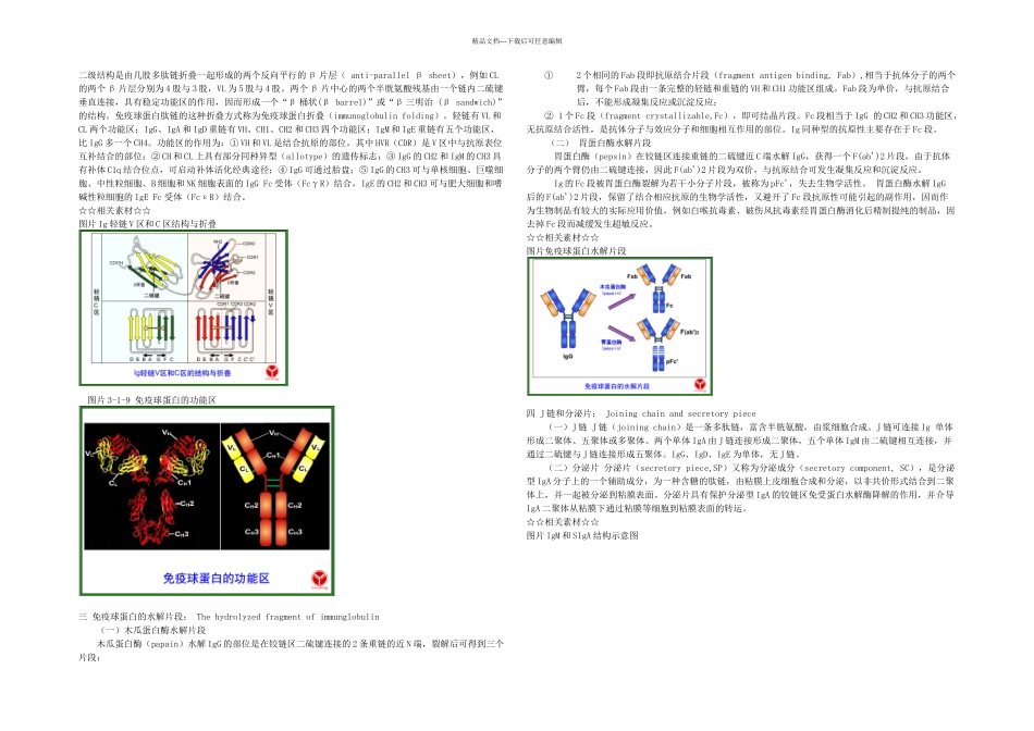 免疫球蛋白的结构_第3页
