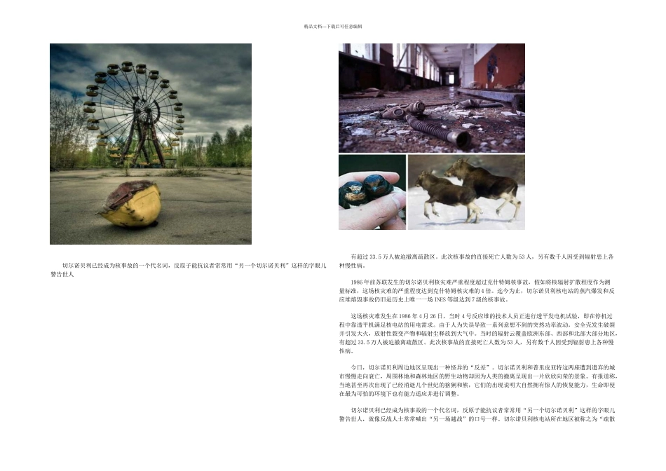 全球最严重核事故_第2页