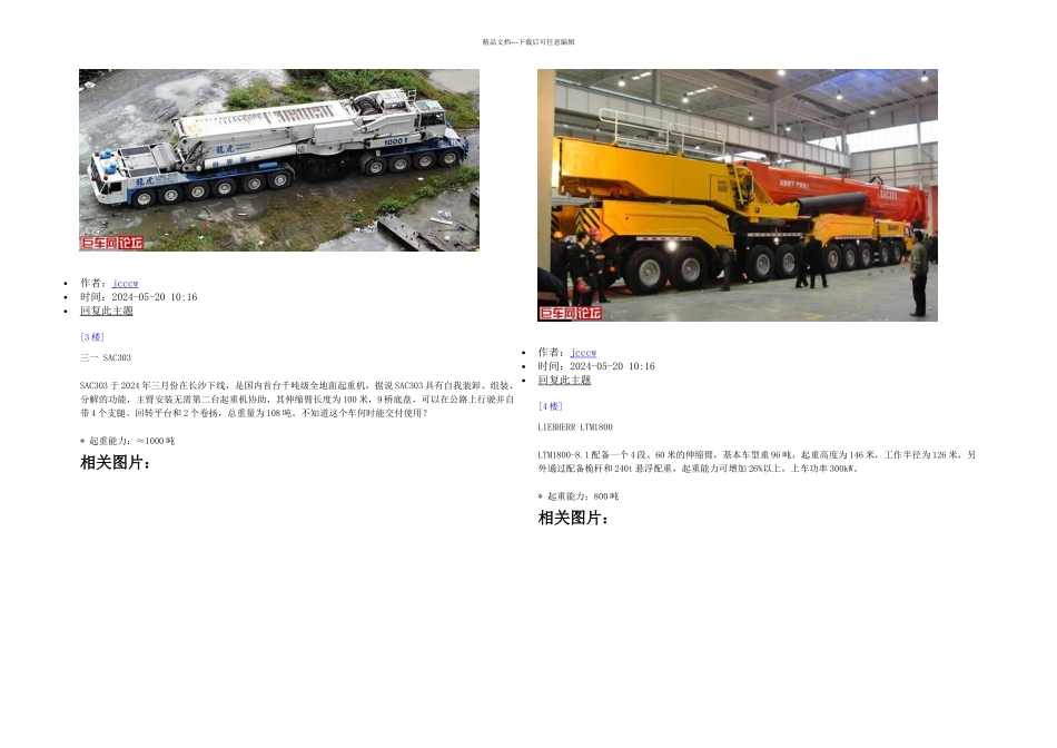 全球超强的款起重机_第2页