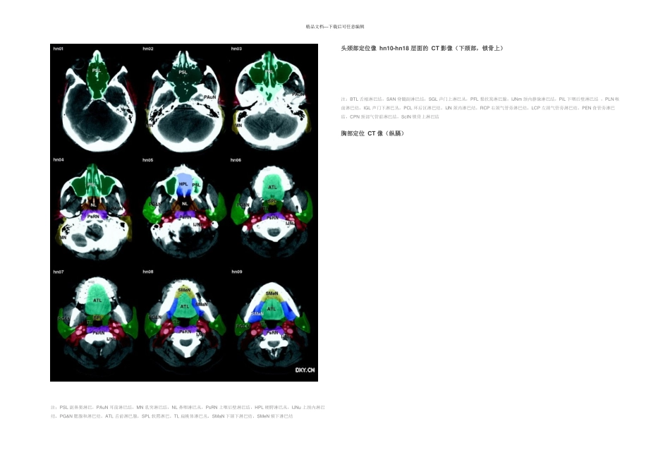 全身淋巴结分区CT图谱_第2页