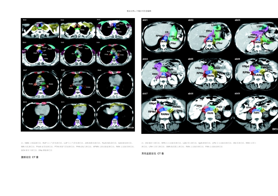 全身淋巴结分区CT图谱_第3页