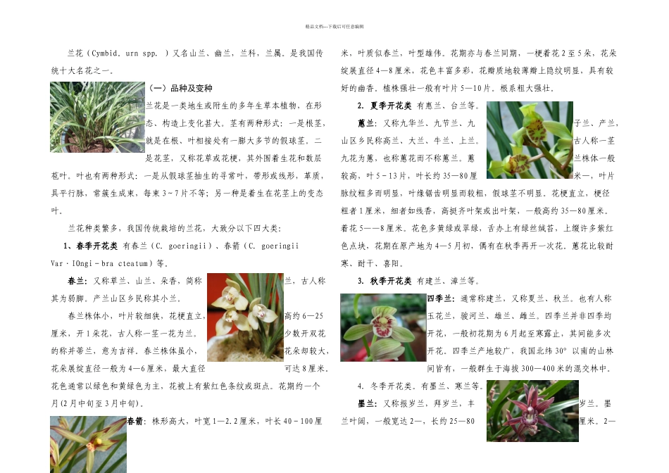 兰花的栽培技术_第1页