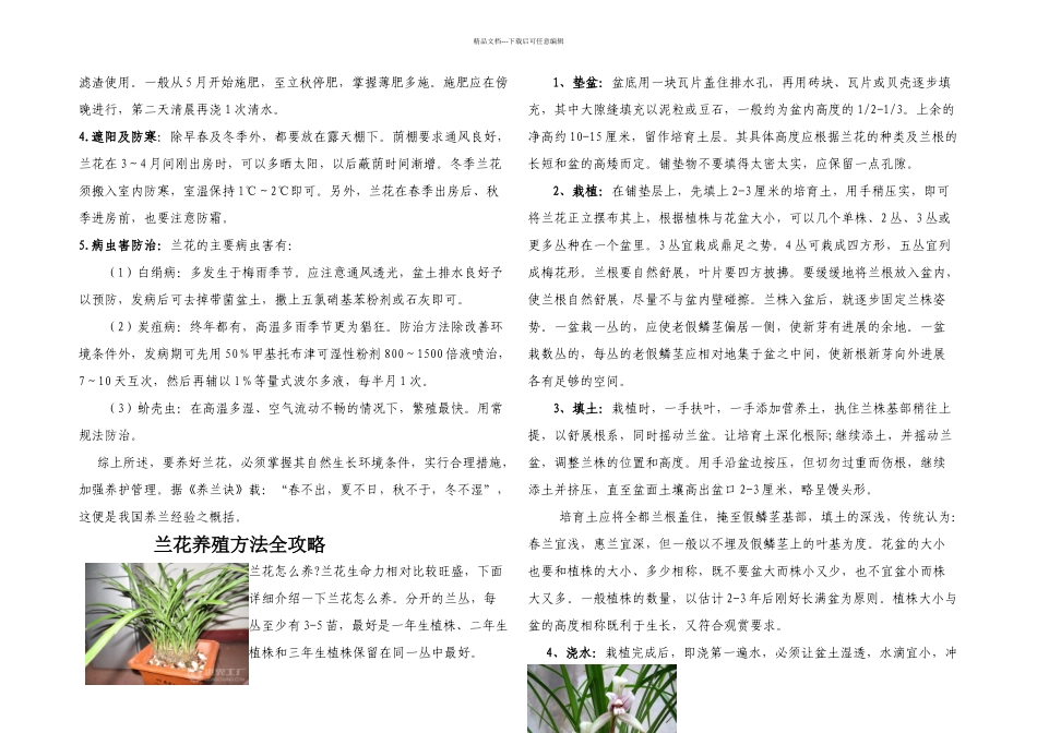 兰花的栽培技术_第3页