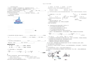 兴奋的传导传递