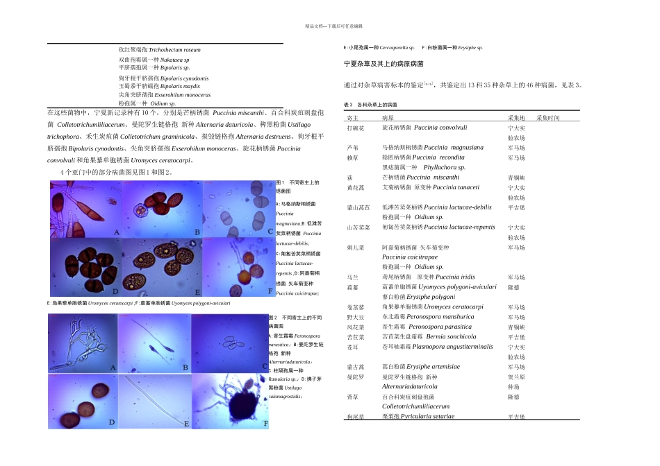 农田杂草病原真菌资源调查_第3页