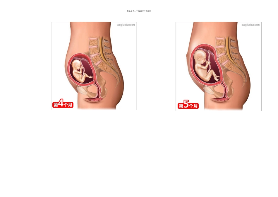 准妈妈的健康补养之道太全了千万别错过_第2页
