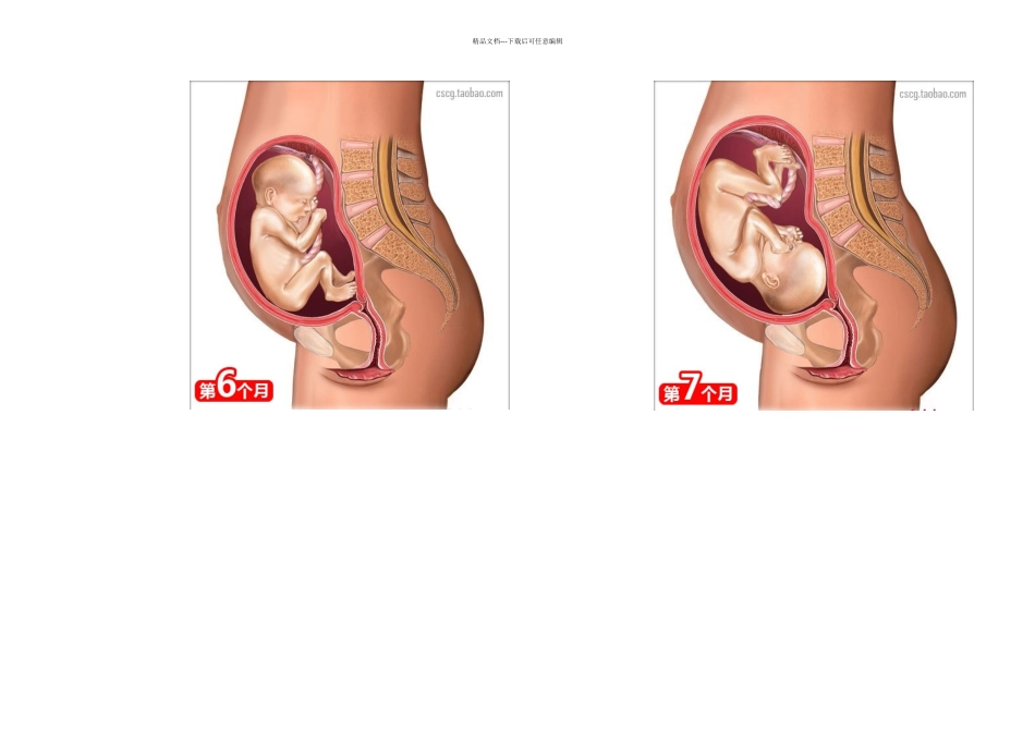 准妈妈的健康补养之道太全了千万别错过_第3页