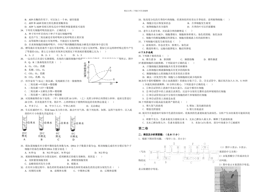分子与细胞综合试题_第2页
