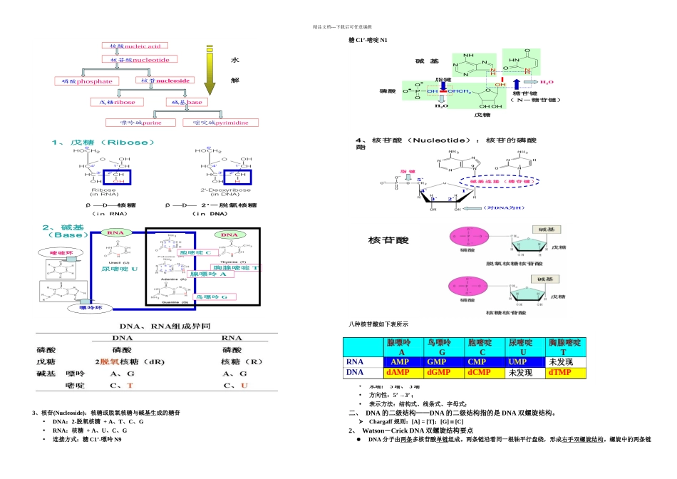 分子生物学题目_第2页
