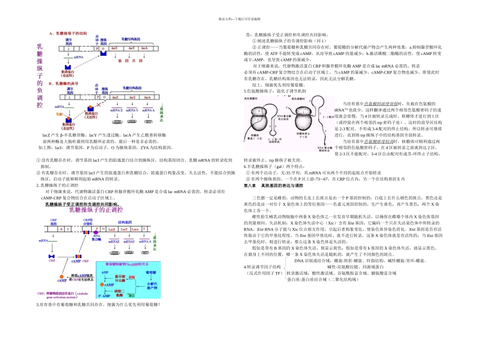 分子生物学总复习_第3页