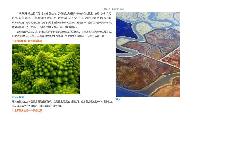 分形一种别样的数学美丽_第1页