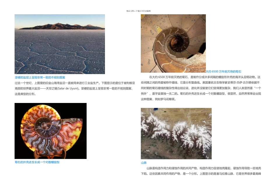 分形一种别样的数学美丽_第2页