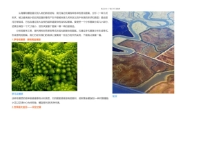 分形一种别样的数学美丽