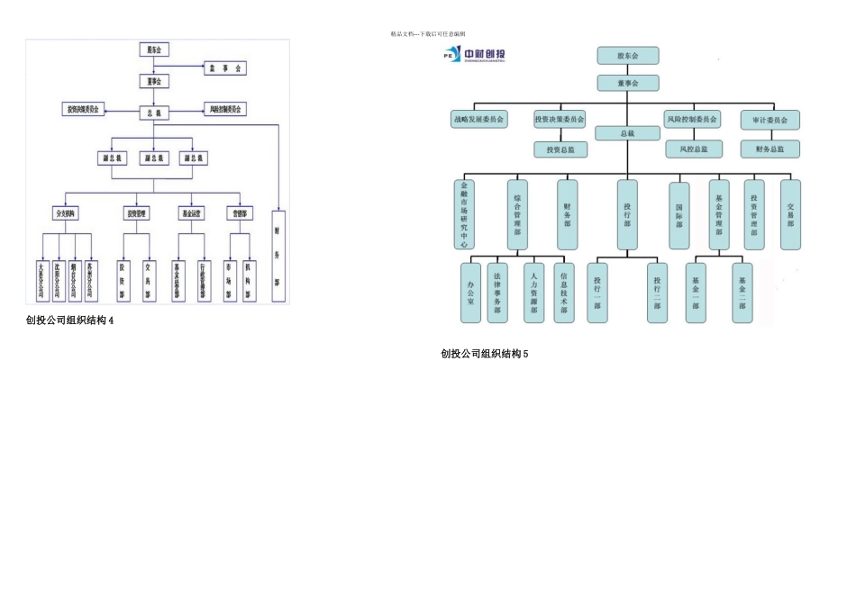 创投公司组织结构个_第2页