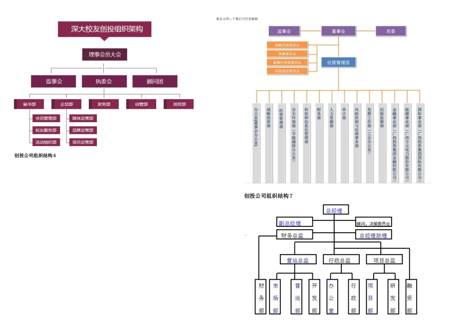 创投公司组织结构个_第3页