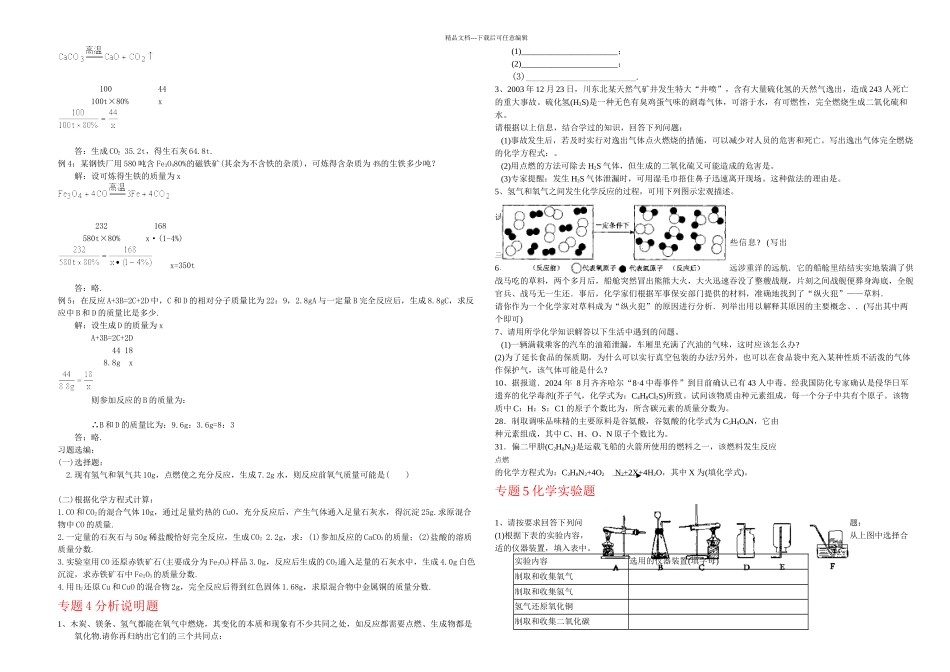 初三化学复习专题打印稿_第3页