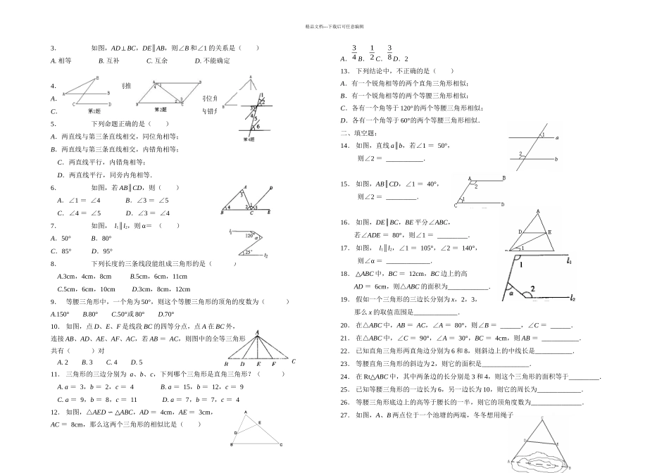 初三数学中考复习专题平行线与三角形_第2页