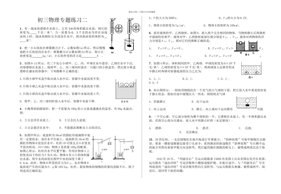 初三物理专题练习_第1页