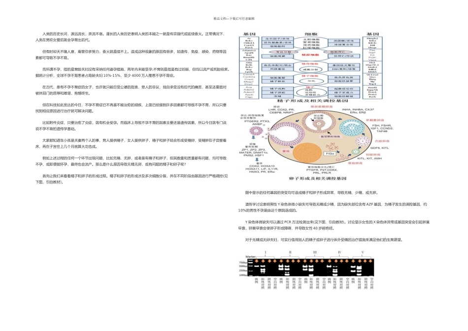 基因和染色体异常会导致不孕和流产_第1页