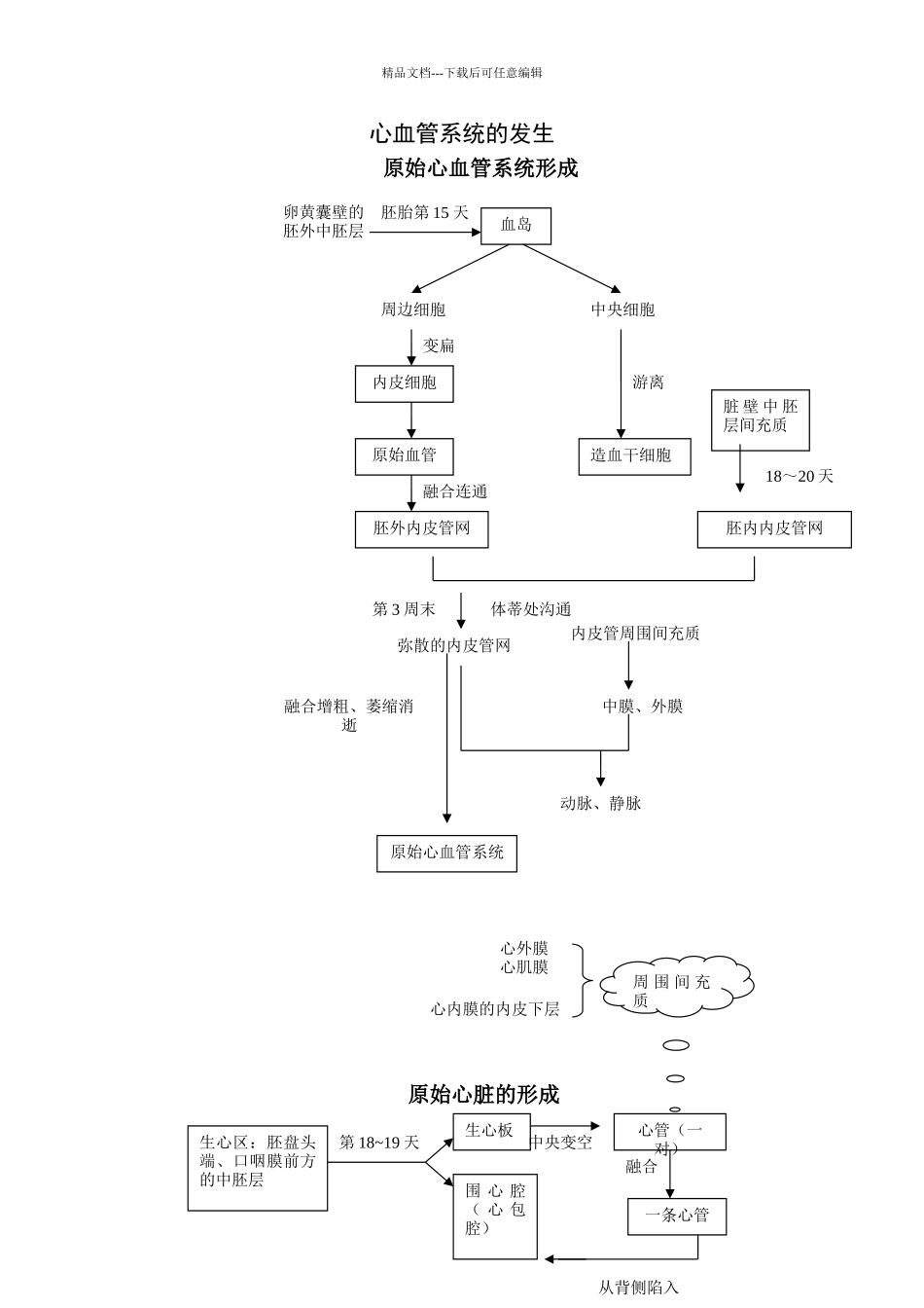 复习：心血管系统的发生_第1页