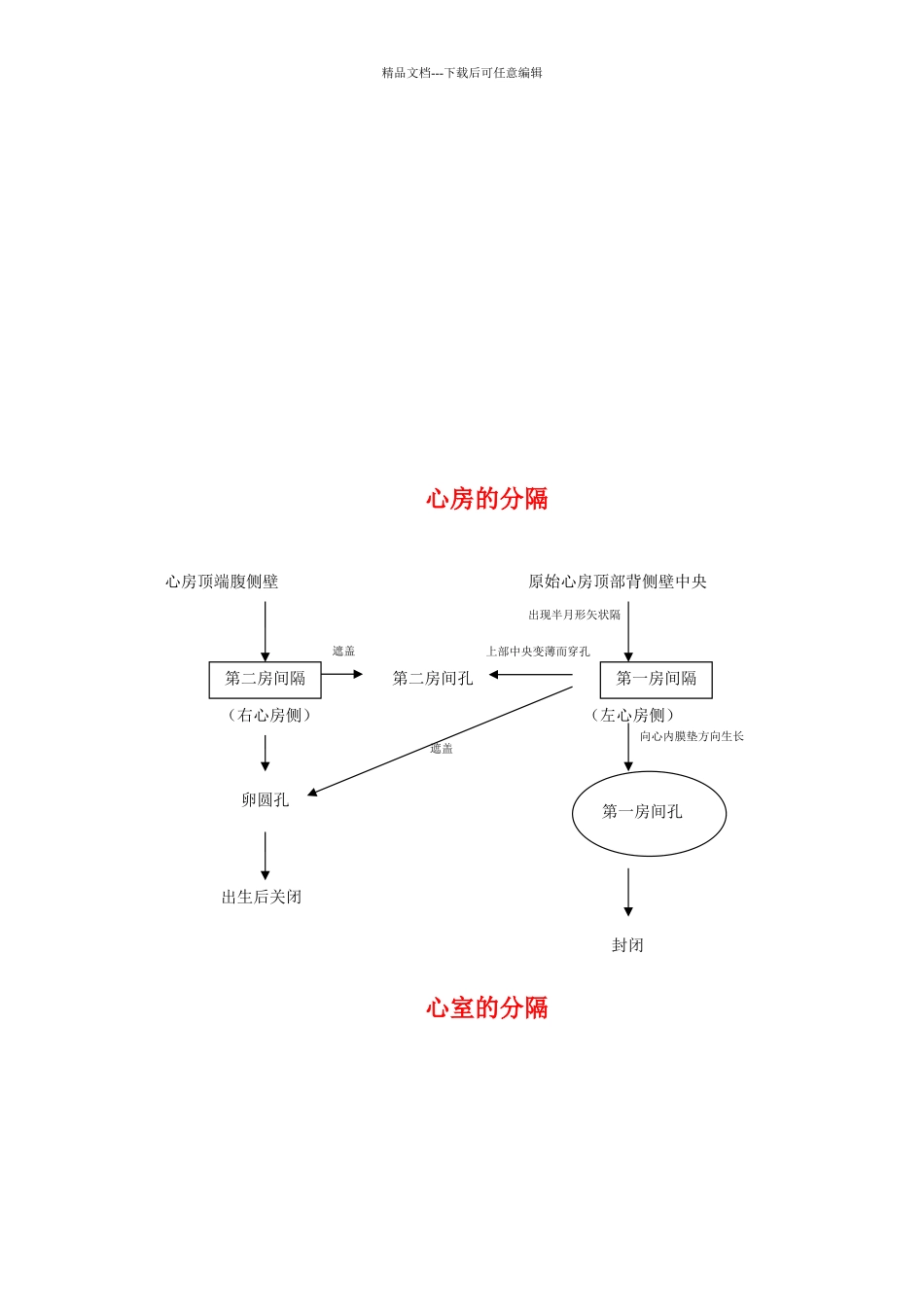 复习：心血管系统的发生_第2页