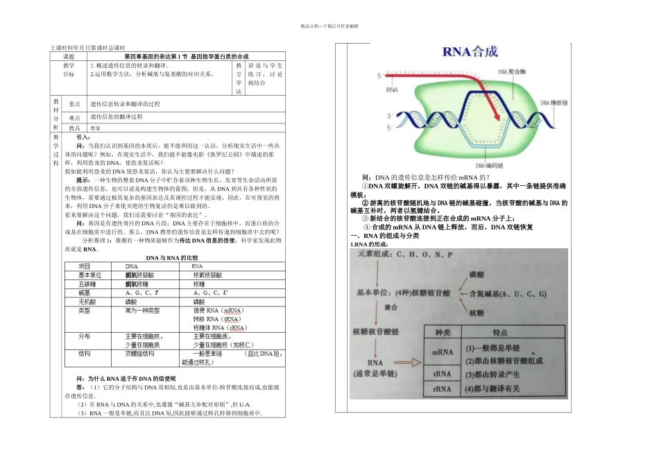 必修二基因指导蛋白质的合成学案_第1页