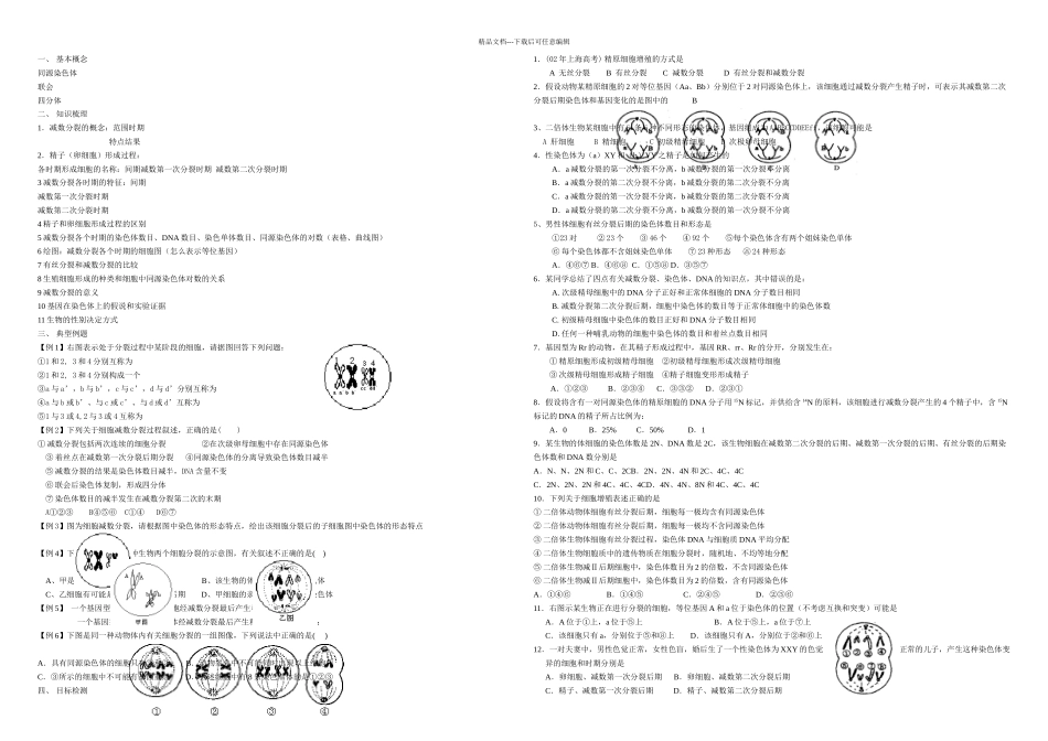 必修基因和染色体的关系_第1页