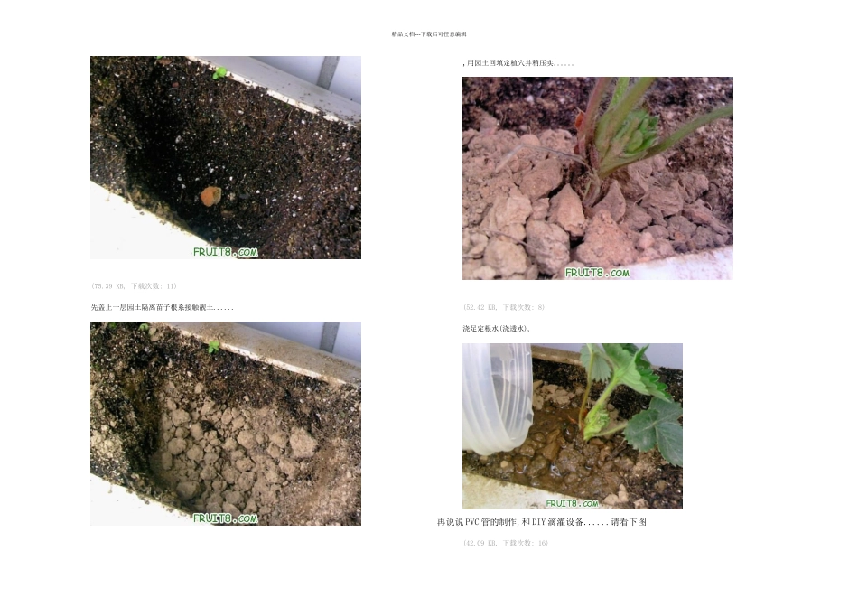 总结一下这几年种植草莓所获得的一些经验和体会_第2页