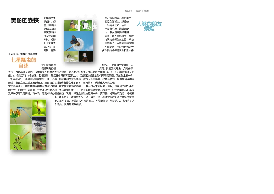 我喜欢的昆虫_第1页