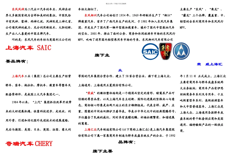 我国自主品牌汽车_第2页