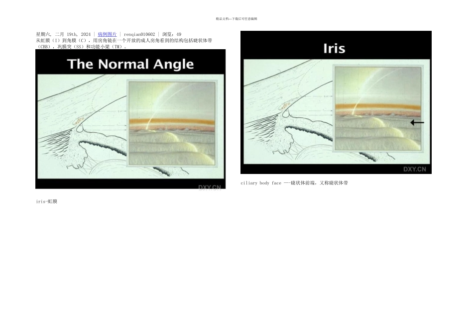 房角镜下的结构_第1页