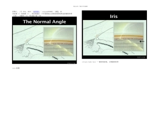 房角镜下的结构