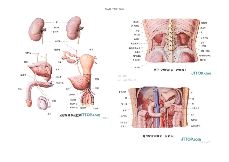 执考难记的与解剖图图_第3页