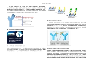 抗体筛选新方法