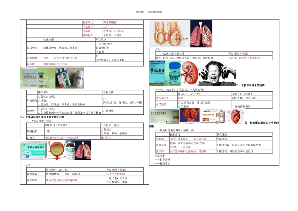 抗肿瘤药复习_第2页