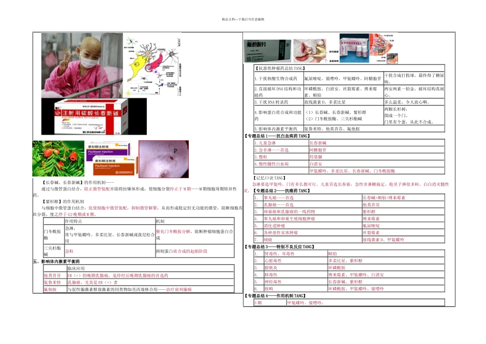 抗肿瘤药复习_第3页
